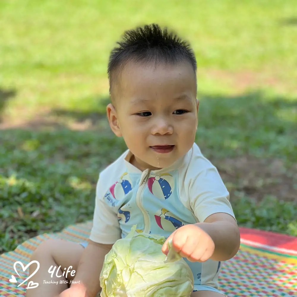 4Life-Education-Cabbage-Peeling-Activity-in-Nursery-Class