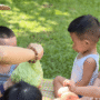 Cabbage Peeling Activity in Nursery Class